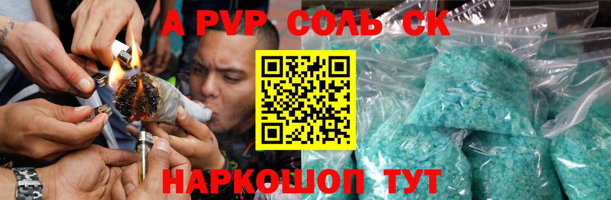 Alfa_PVP СК Сосновый Бор