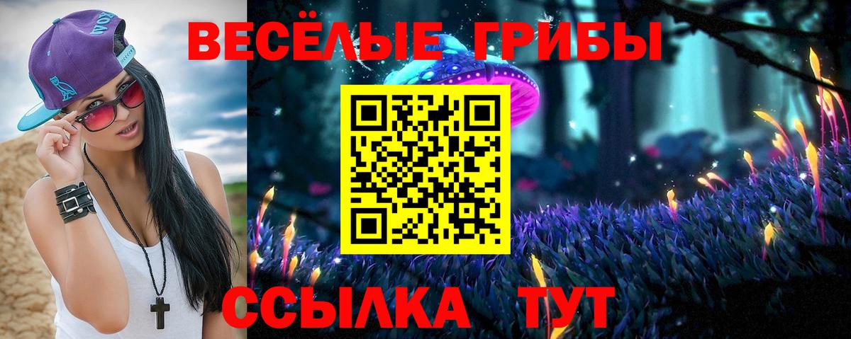 Псилоцибиновые грибы мицелий  Вход с VPN  Псилоцибиновые грибы Psilocybe  Сосновый Бор 